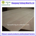 Ash plywood